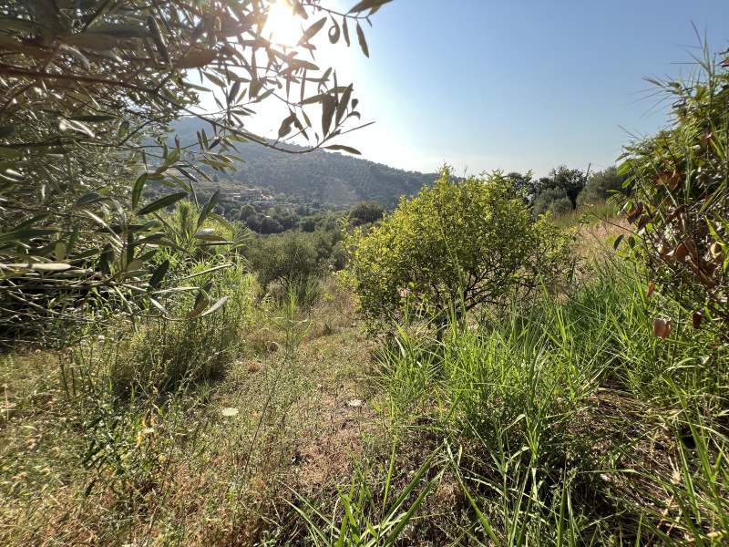 Villa in vendita a Cicerale - Rif. #14 - Foto 12