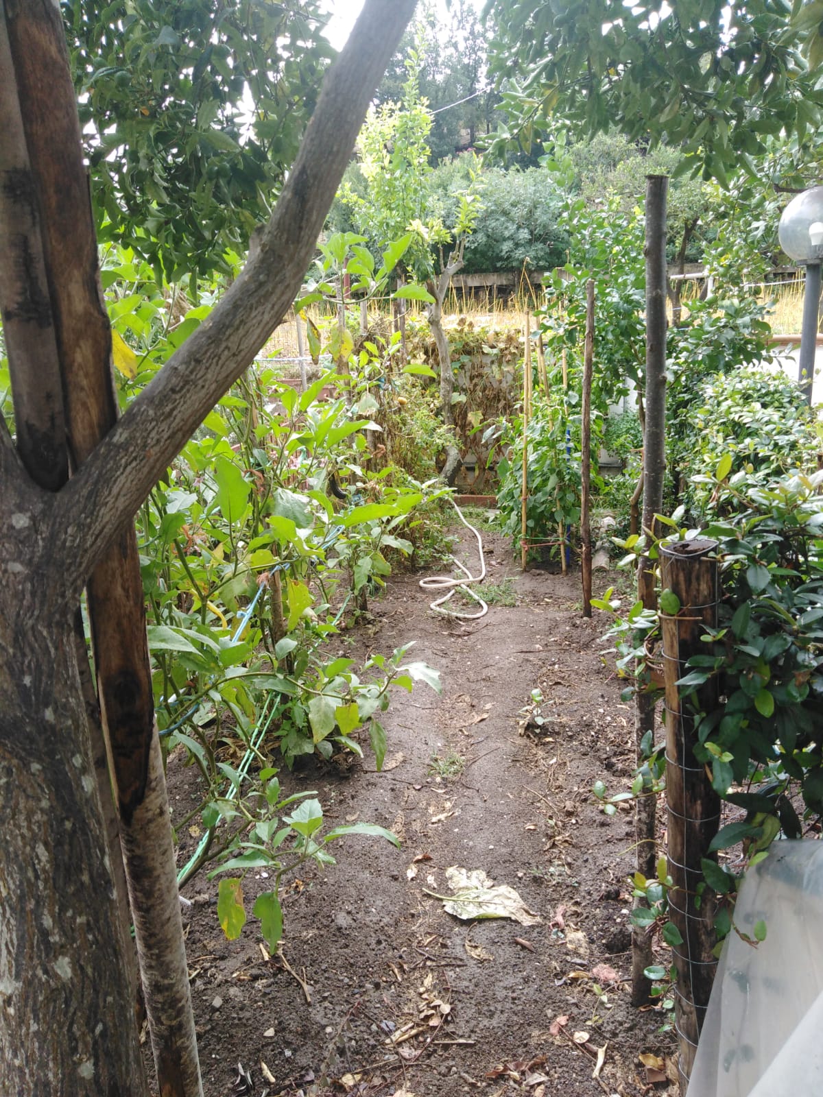 Porzione di Villa in vendita a Agropoli - Rif. #19 - Foto 12