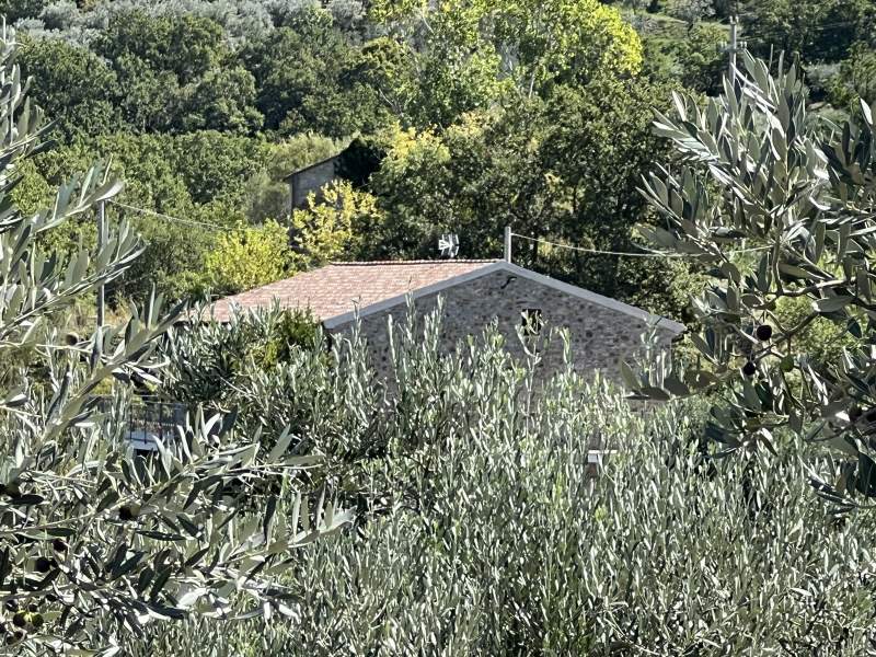 Casa indipendente in vendita a Giungano - Rif. #20 - Foto 4