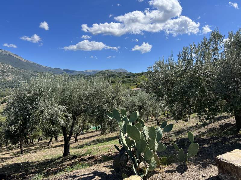 Casa indipendente in vendita a Giungano - Rif. #20 - Foto 54