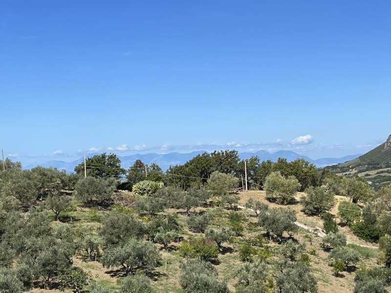 Casa indipendente in vendita a Giungano - Rif. #20 - Foto 7