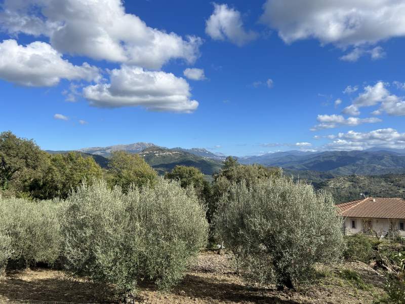 Appartamento in vendita a Prignano cilento - Rif. #21 - Foto 18