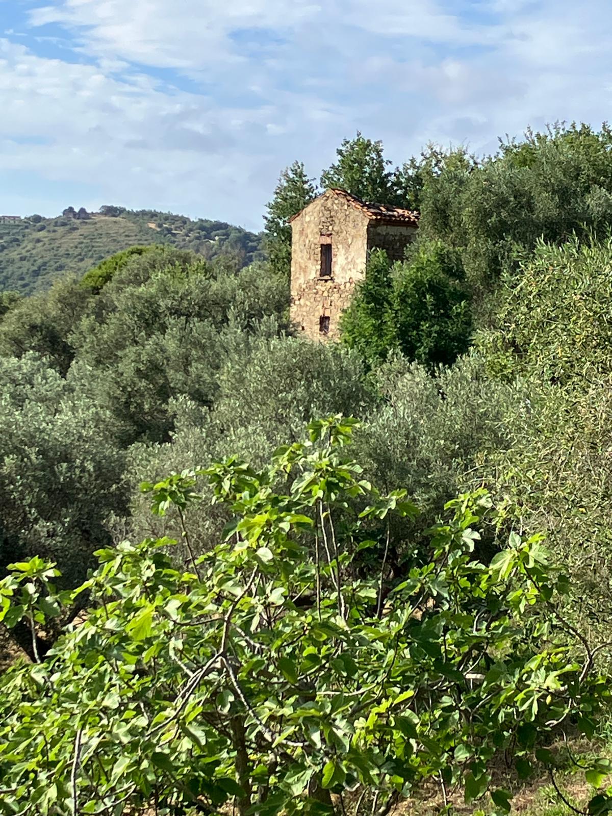Terreno con progetto in vendita a Agropoli - Rif. #24 - Foto 11