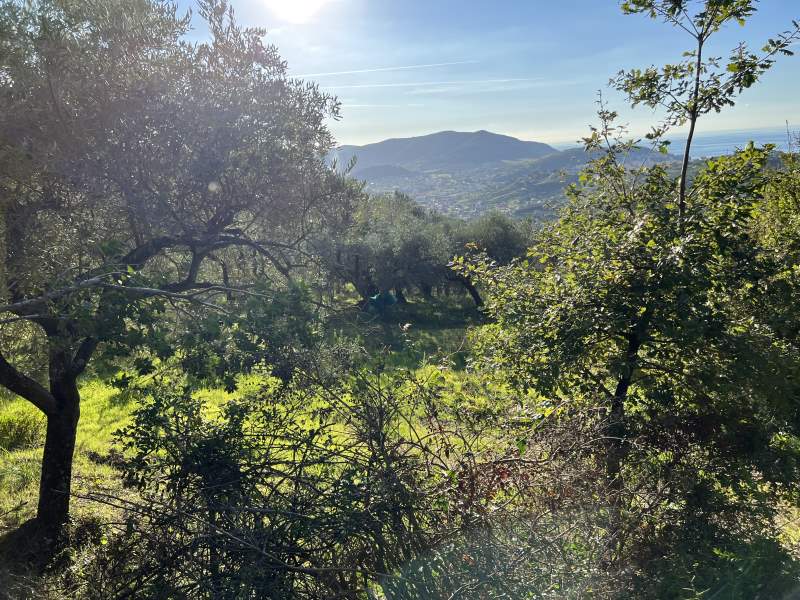 Terreno con progetto in vendita a Agropoli - Rif. #24 - Foto 18