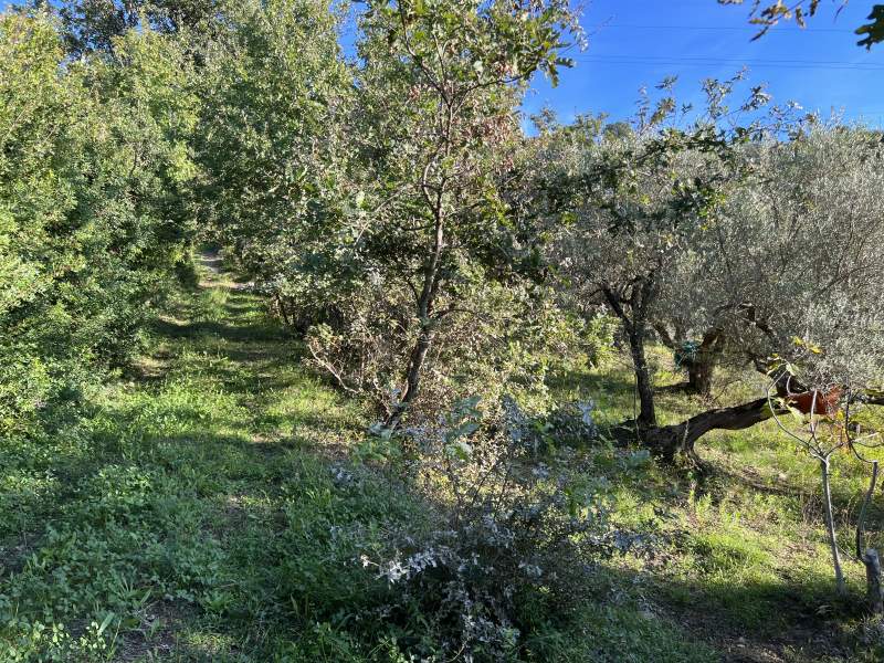 Terreno con progetto in vendita a Agropoli - Rif. #24 - Foto 25