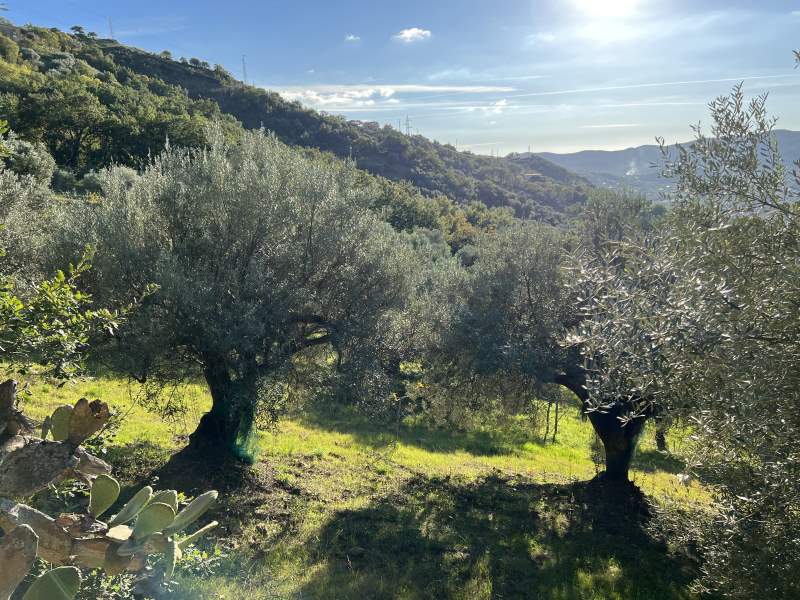 Terreno con progetto in vendita a Agropoli - Rif. #24 - Foto 29