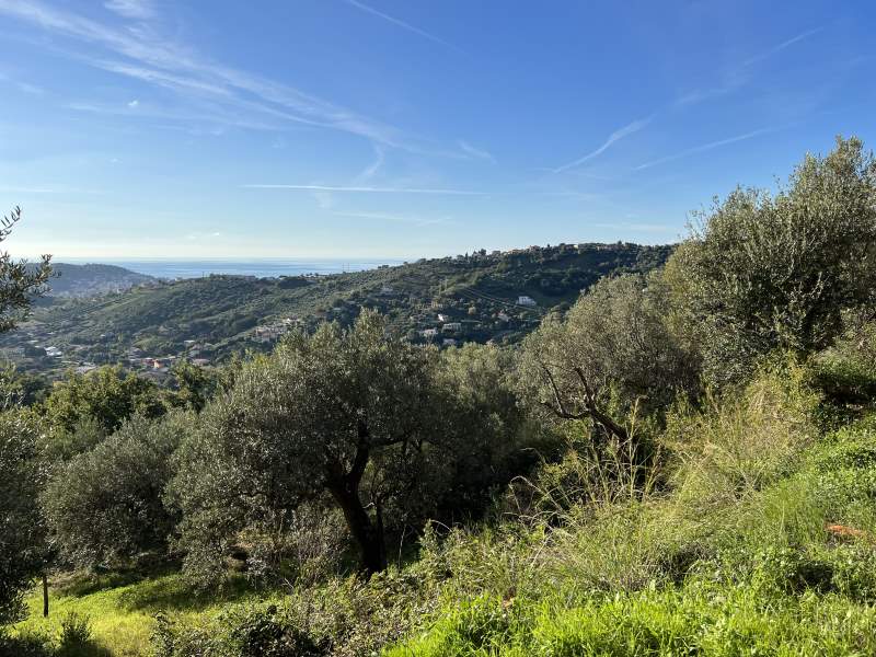 Terreno con progetto in vendita a Agropoli - Rif. #24 - Foto 36