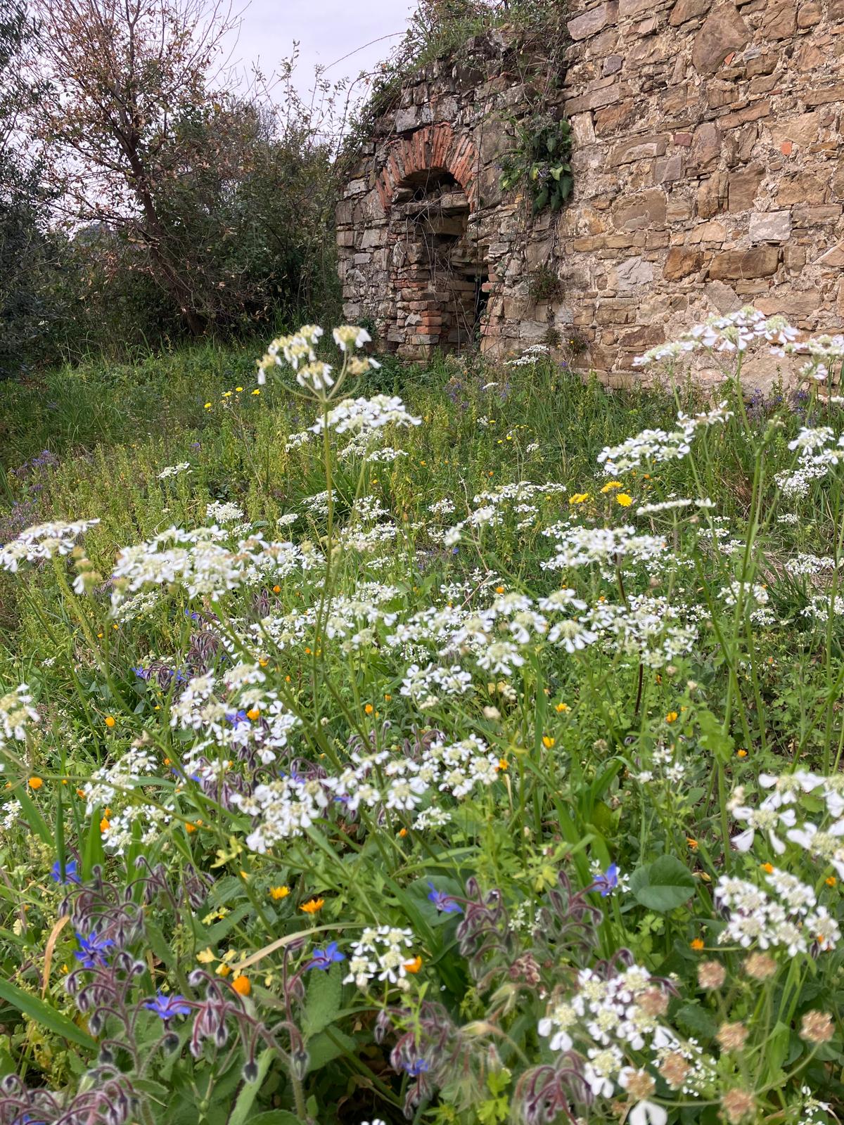 Terreno con progetto in vendita a Agropoli - Rif. #24 - Foto 5