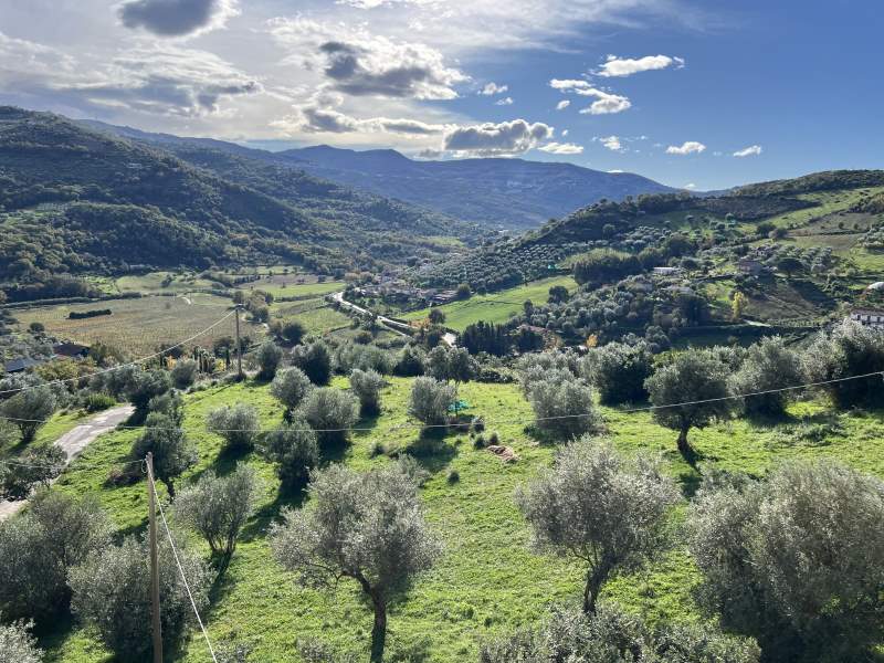 Appartamento in vendita a Laureana cilento - Rif. #25 - Foto 12