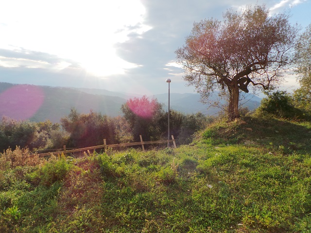 Villetta a schiera in vendita a Prignano cilento - Rif. #26 - Foto 18