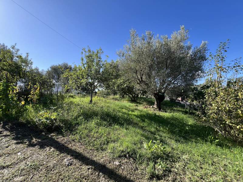 Casa indipendente in vendita a Ceraso - Rif. #28 - Foto 24
