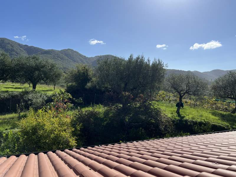Casa indipendente in vendita a Ceraso - Rif. #28 - Foto 34