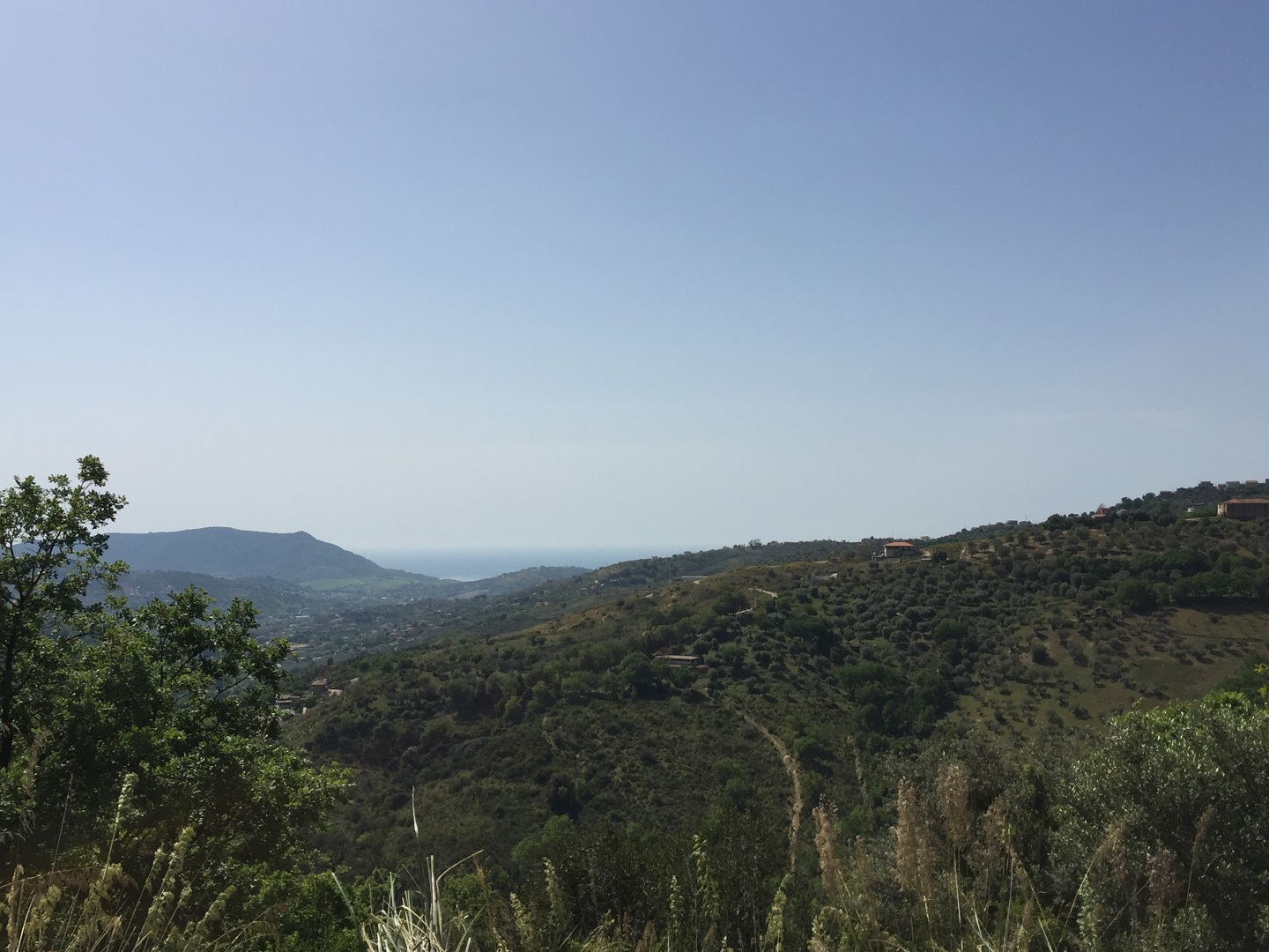 Terreno in vendita a Prignano cilento - Rif. #30 - Foto 1