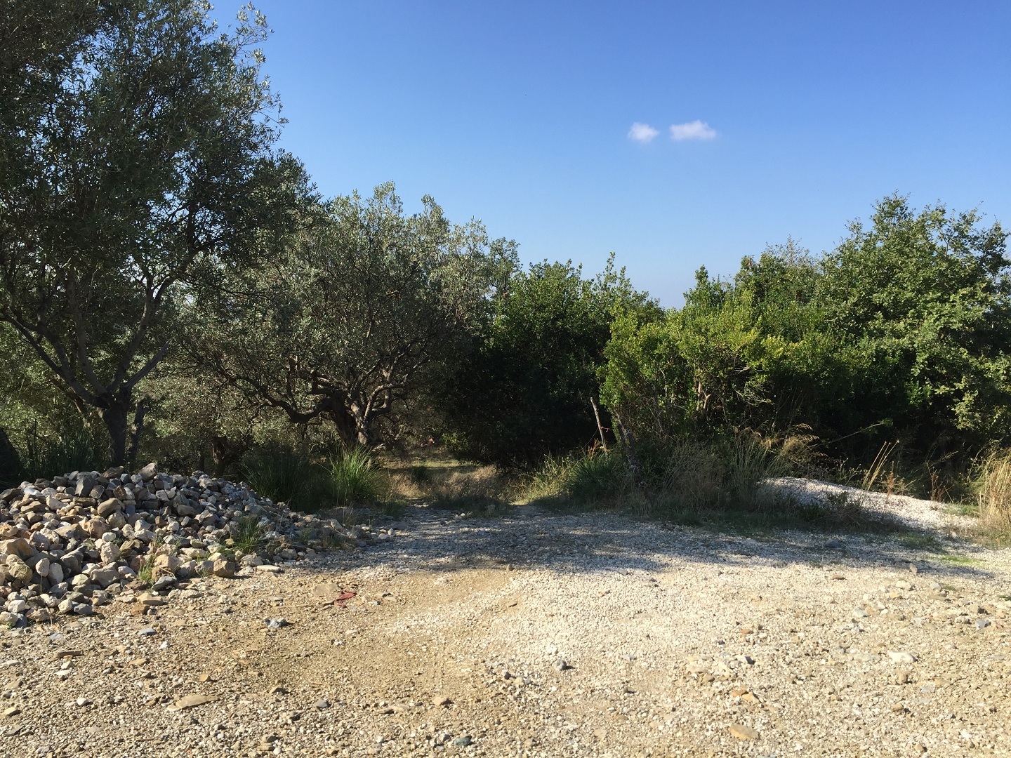 Terreno in vendita a Prignano cilento - Rif. #30 - Foto 2