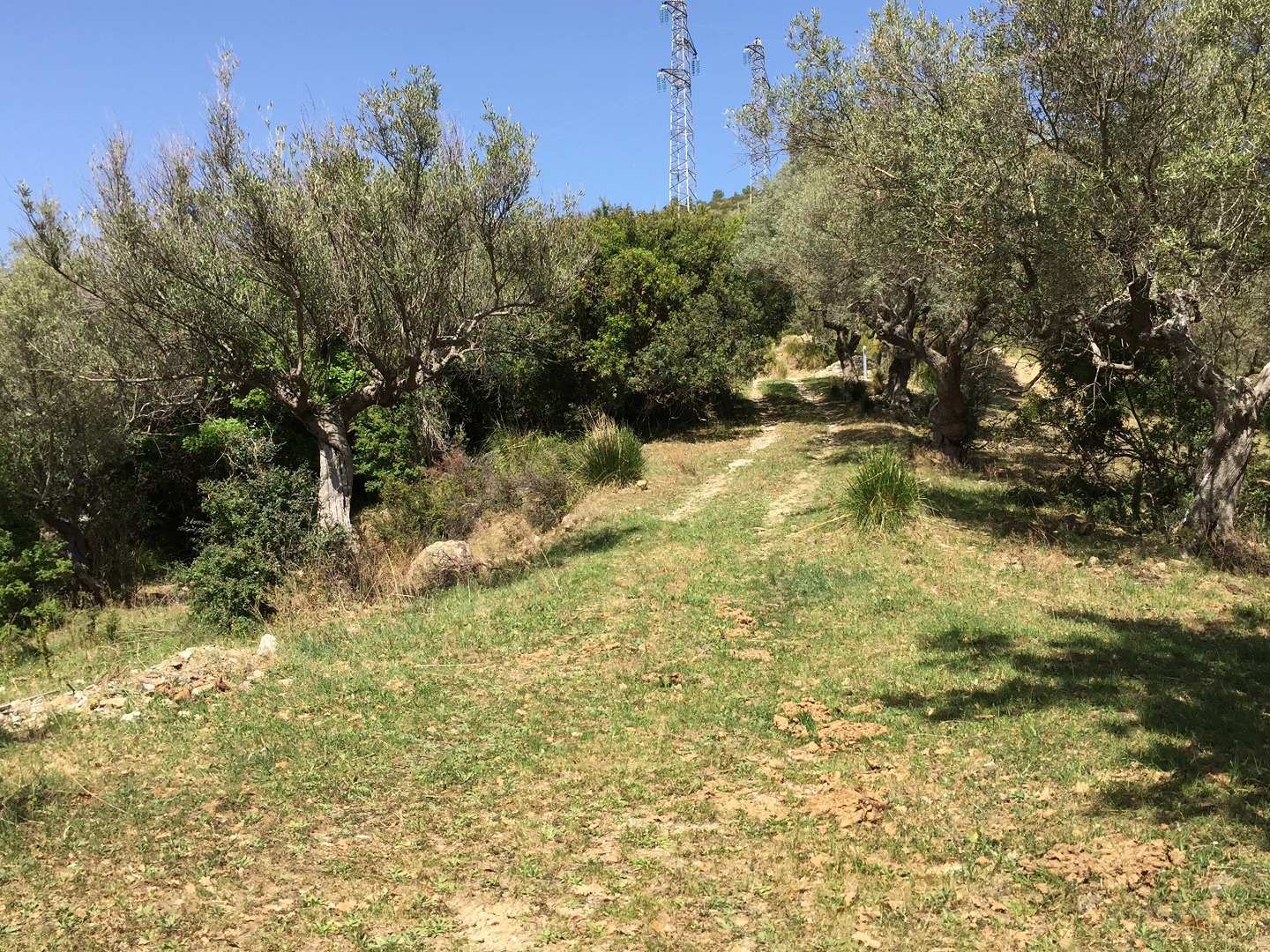 Terreno in vendita a Prignano cilento - Rif. #30 - Foto 12