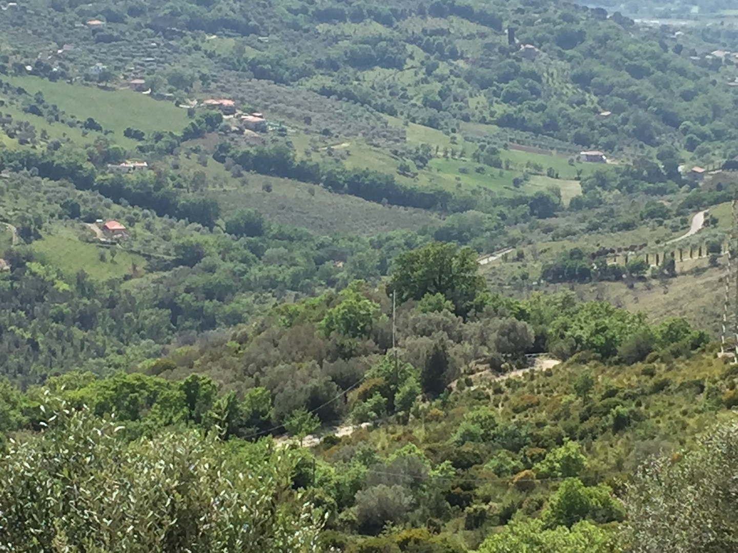 Terreno in vendita a Prignano cilento - Rif. #30 - Foto 3