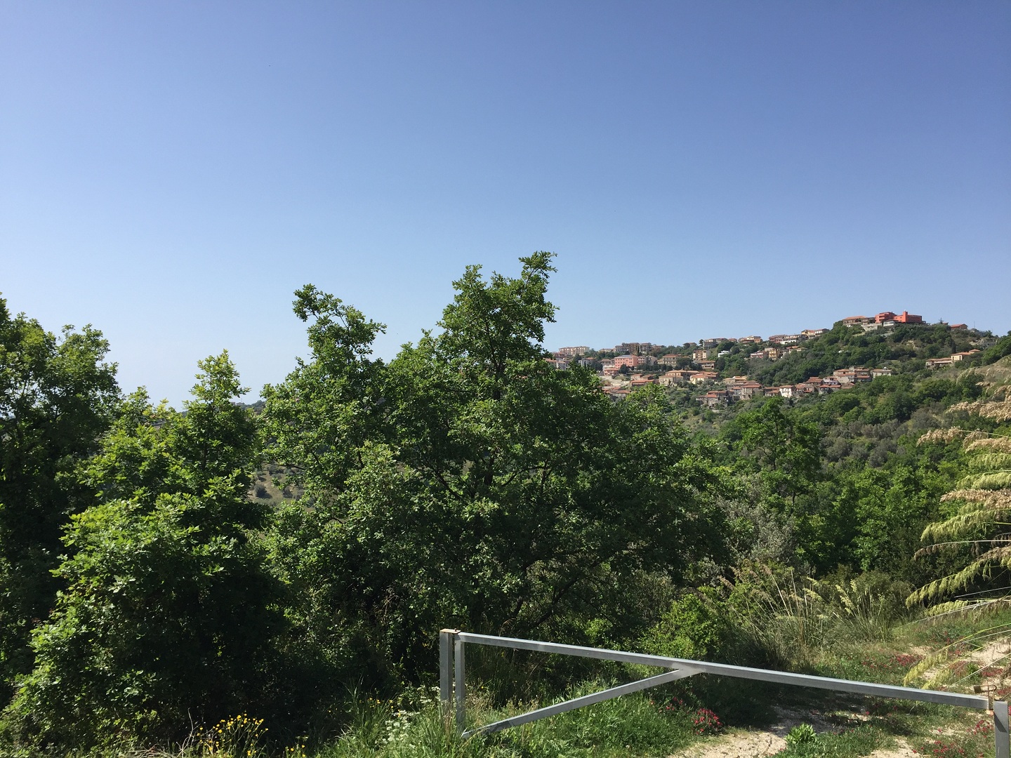 Terreno in vendita a Prignano cilento - Rif. #30 - Foto 5