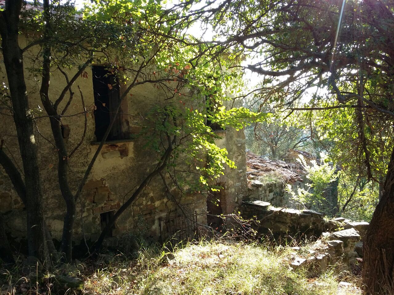 Terreno in vendita a Prignano cilento - Rif. #30 - Foto 6