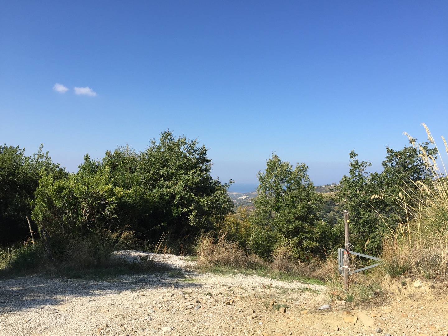 Terreno in vendita a Prignano cilento - Rif. #30 - Foto 7