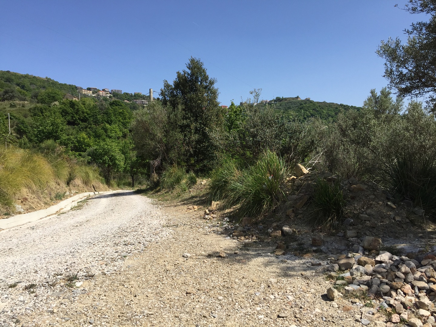 Terreno in vendita a Prignano cilento - Rif. #30 - Foto 8