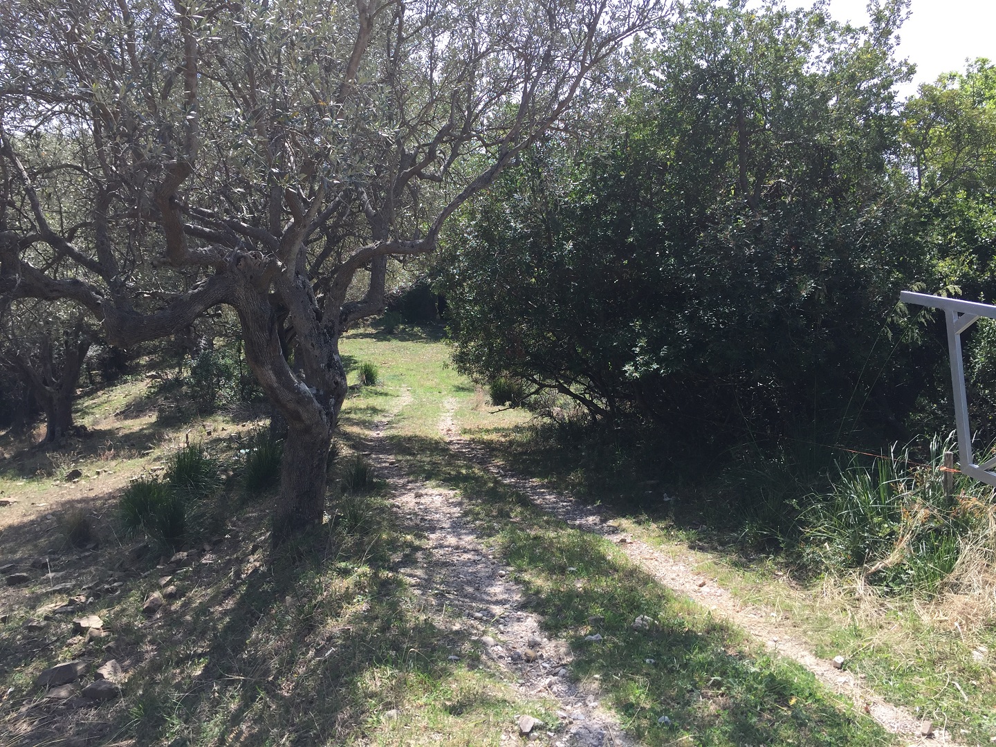 Terreno in vendita a Prignano cilento - Rif. #30 - Foto 9