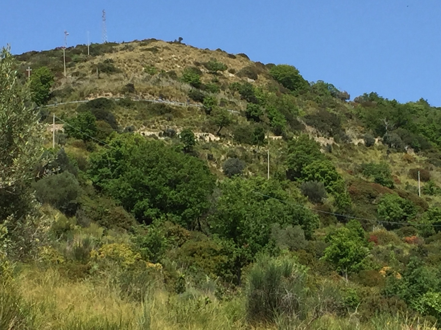 Terreno in vendita a Prignano cilento - Rif. #30 - Foto 10