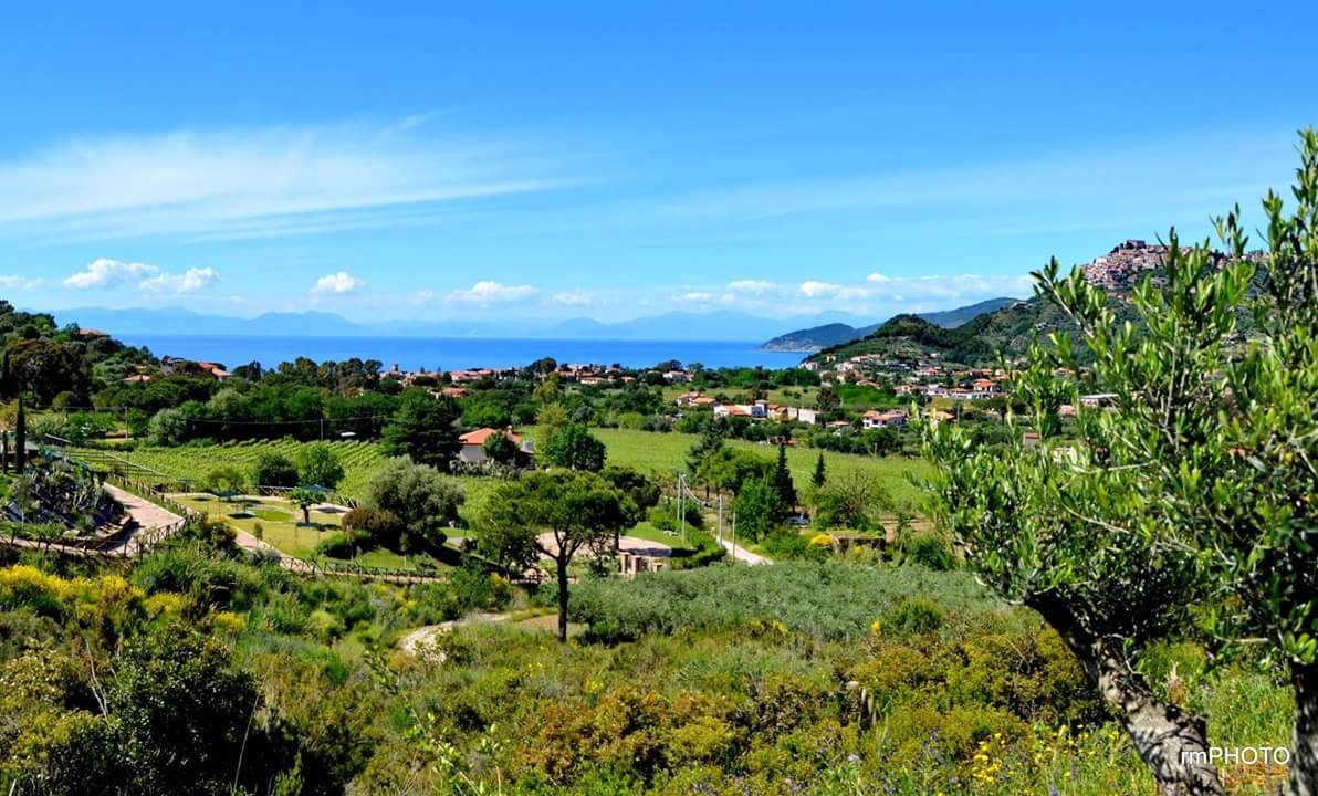 Appartamento in Parco in vendita a Castellabate - Rif. #31 - Foto 2