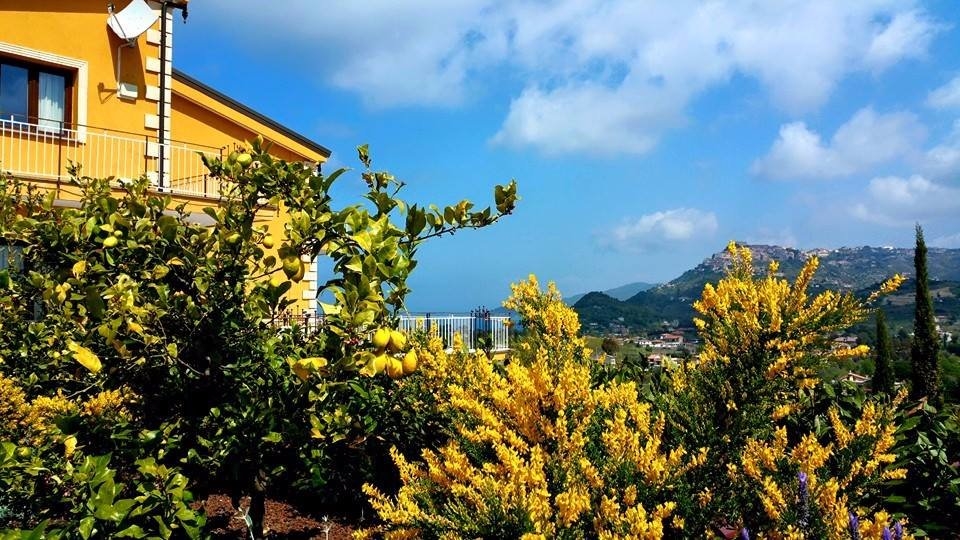 Appartamento in Parco in vendita a Castellabate - Rif. #31 - Foto 13
