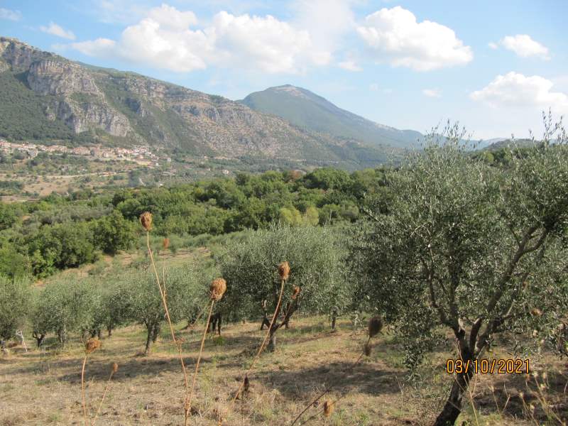 Casa indipendente in vendita a Giungano - Rif. #33 - Foto 2