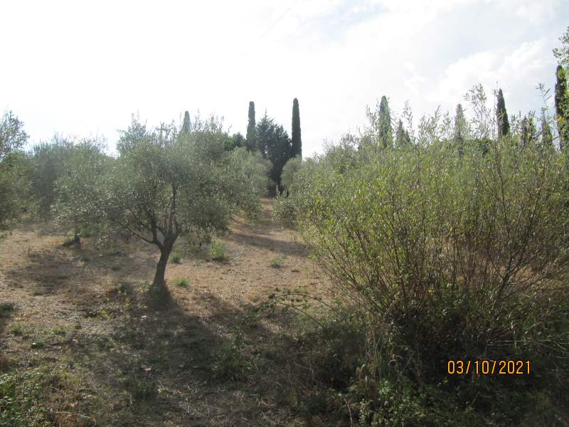Casa indipendente in vendita a Giungano - Rif. #33 - Foto 20