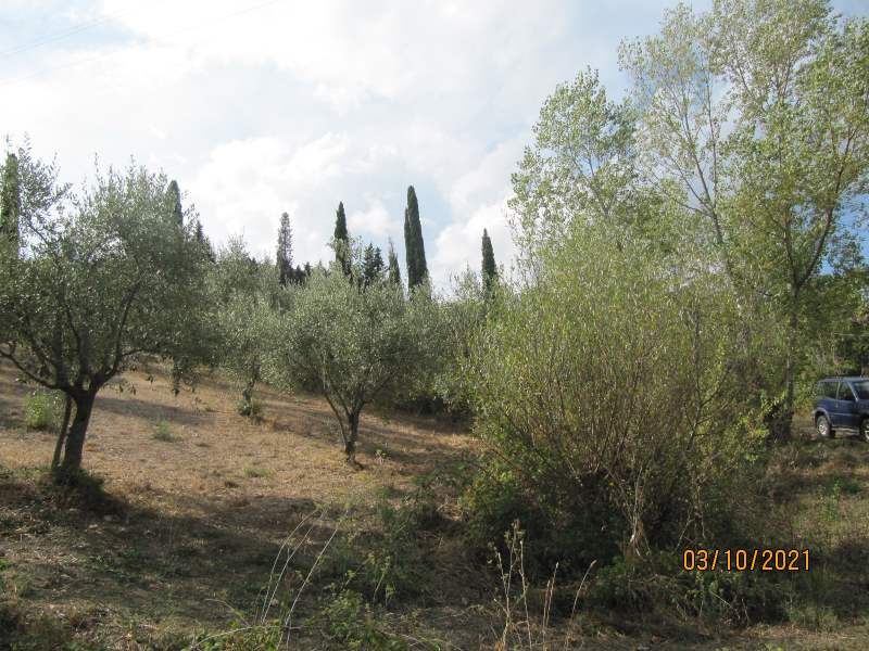 Casa indipendente in vendita a Giungano - Rif. #33 - Foto 21