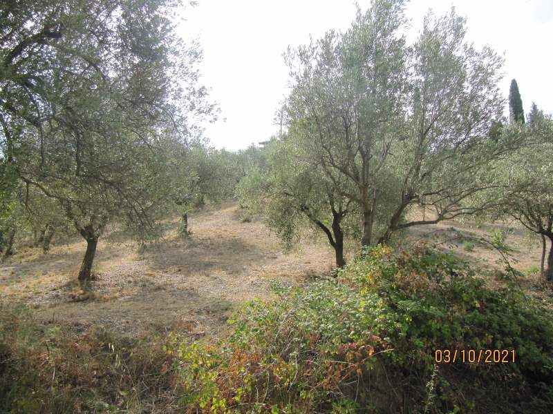 Casa indipendente in vendita a Giungano - Rif. #33 - Foto 22