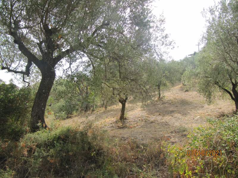 Casa indipendente in vendita a Giungano - Rif. #33 - Foto 23