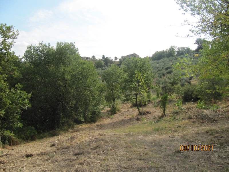 Casa indipendente in vendita a Giungano - Rif. #33 - Foto 39