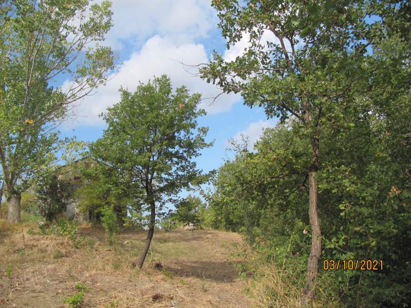 Casa indipendente in vendita a Giungano - Rif. #33 - Foto 43