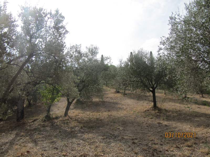 Casa indipendente in vendita a Giungano - Rif. #33 - Foto 44
