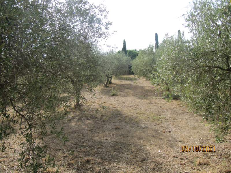 Casa indipendente in vendita a Giungano - Rif. #33 - Foto 45