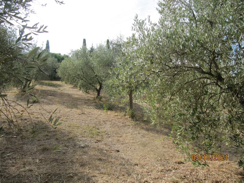 Casa indipendente in vendita a Giungano - Rif. #33 - Foto 46