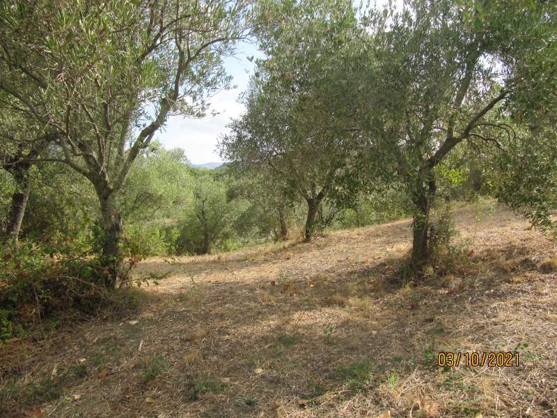 Casa indipendente in vendita a Giungano - Rif. #33 - Foto 48