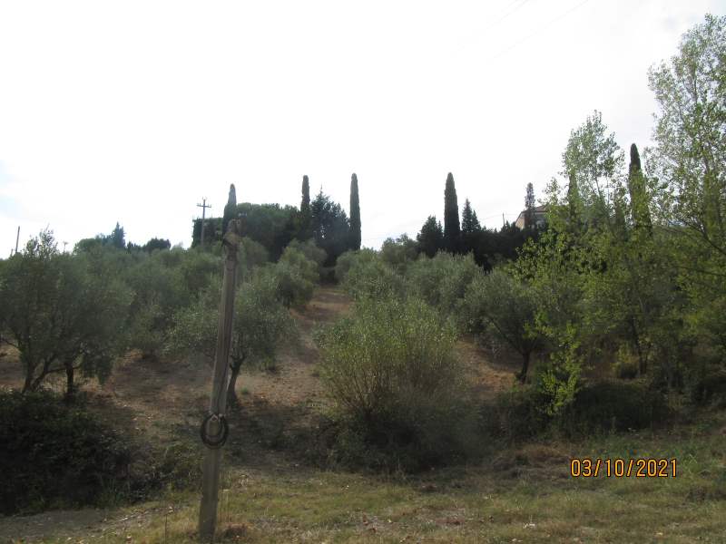 Casa indipendente in vendita a Giungano - Rif. #33 - Foto 56