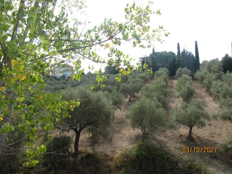 Casa indipendente in vendita a Giungano - Rif. #33 - Foto 65