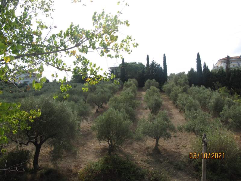 Casa indipendente in vendita a Giungano - Rif. #33 - Foto 67