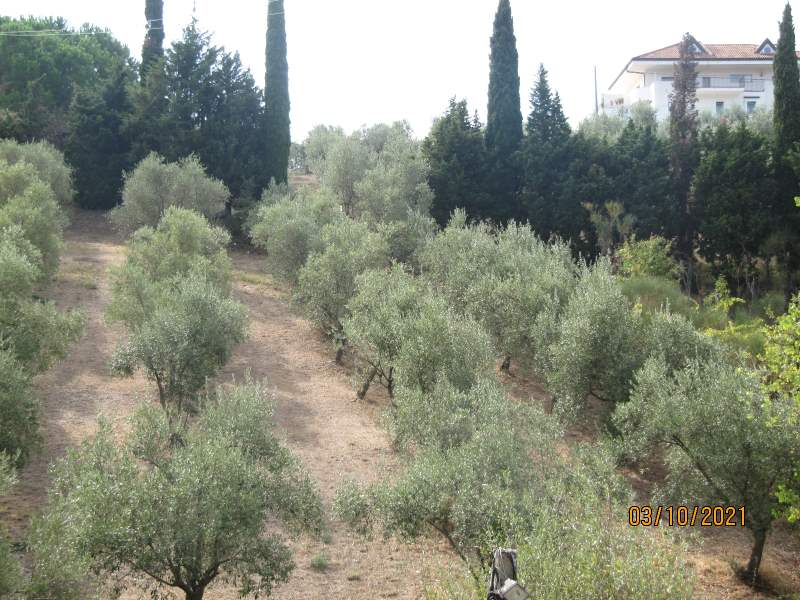 Casa indipendente in vendita a Giungano - Rif. #33 - Foto 68