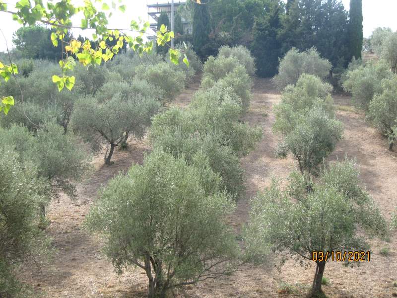Casa indipendente in vendita a Giungano - Rif. #33 - Foto 69