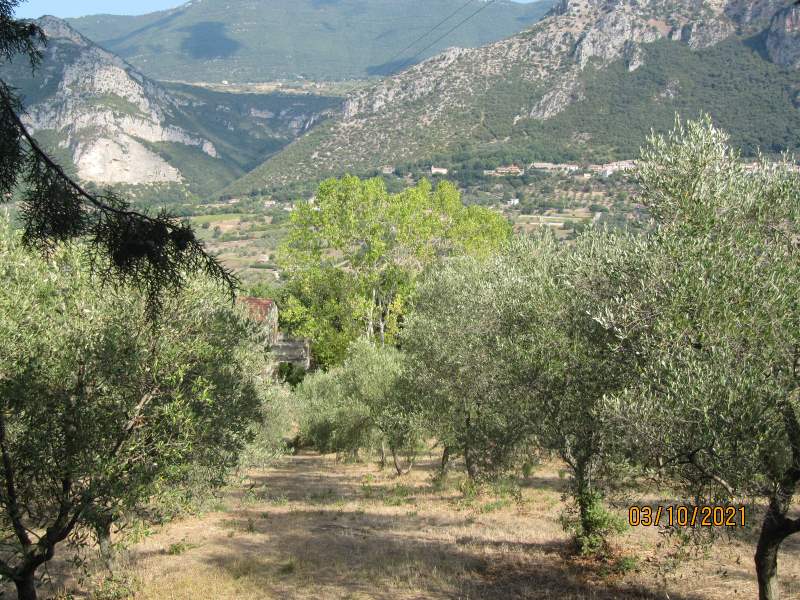 Casa indipendente in vendita a Giungano - Rif. #33 - Foto 9
